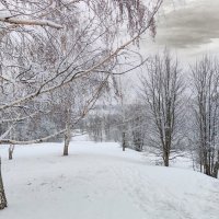 Март,но зима не сдаётся ... :: Ravile 