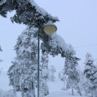 Фонари Пухатунтури :: Ольга 