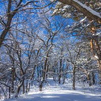 Сколько красоты в том, что зовется мелочами... :: Наталья Димова