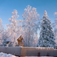 Ухта. Дачи в районе Крайнего Севера :: Николай Зиновьев