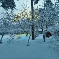 Зима снова вернулась! :: veilins veilins