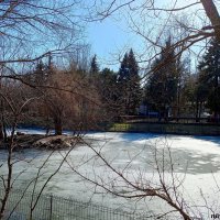 Март в ростовском зоопарке :: Нина Бутко