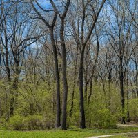 Воронцовский парк :: Aleksey Afonin