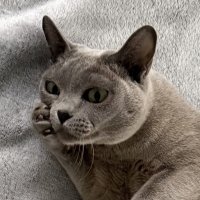 Что бы ещё придумать? :: Сергей Б.