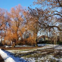 Солнечный день марта 2026 в парке :: Aida10 