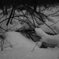 Мечты о ч/б Лейке 37. :: Михаил Елочкин