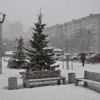 Опять снегопад :: Татьяна Машошина