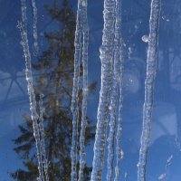 Сосульки за окном :: Ольга 