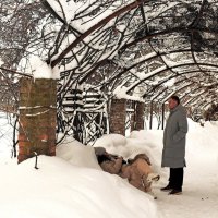 Пергола и зимой, как место отдыха. :: Татьяна Помогалова