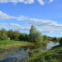 Вечер у реки. :: Виктор 