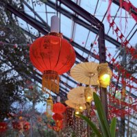 Оранжерея по восточному) :: Любовь 