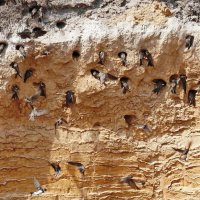 общага :: shasha1950 