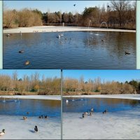 Март в ростовском зоопарке :: Нина Бутко