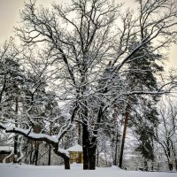 февраль... :: Михаил Столяров