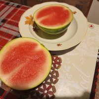 Не удержался: первый раз за 70,5 лет ел арбуз в марте :: Андрей Лукьянов