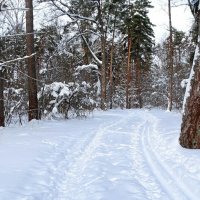 О минувшей зиме. :: Милешкин Владимир Алексеевич 