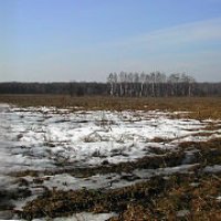 Панорама :: Tata Wolf