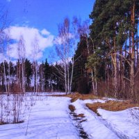 На солнышке тает снег :: Людмила Смородинская