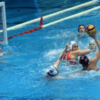 Опасность у ворот! :: Александр Гриднев