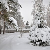 Утро :: **** vedin