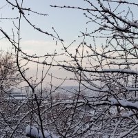 Зима :: Наталья (ShadeNataly) Мельник