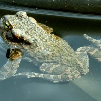 Ждёт. :: ВикТор Быстров