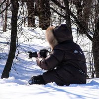 Коллега по снежному марту,,,, :: Анатолий Колосов