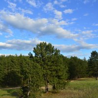 **** :: Виктор 