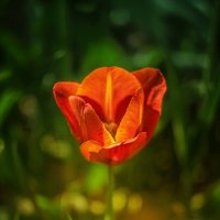 Свеча :: Игорь Сарапулов