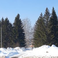 март :: Венера Чуйкова