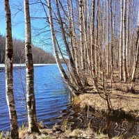 Юнтоловский парк-заповедник :: Лия ☼