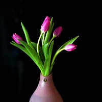 Весна идёт! :: Светлана 