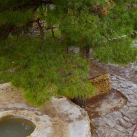 Просторы сафари-парка в Геленджике :: Маргарита Авраменко