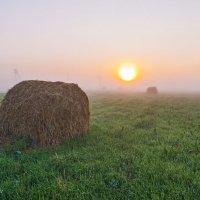 Ухта. Летние окрестности. :: Николай Зиновьев