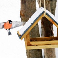 Спасибо вам, Люди ! :: Валентин Котляров