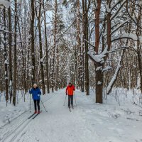 После метели 1 :: Владимир Езеров 