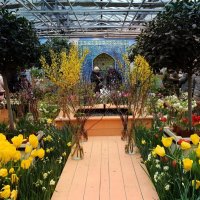 Весне дорогу! :: Татьяна Помогалова