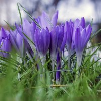 *** :: Aleksey Afonin