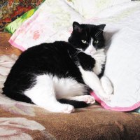 На отдыхе :: Людмила Смородинская