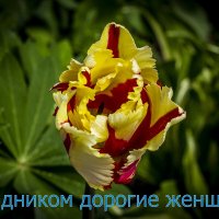 Поздравляю! :: Петр Беляков