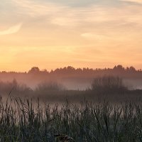 Рассвет :: Леонид 