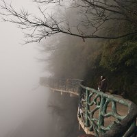 Туман :: Андрей Город