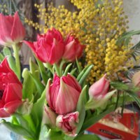 С ПРАЗДНИКОМ ВЕСНЫ И КРАСОТЫ! :: Елена Семигина