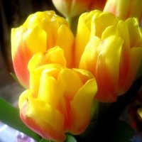 С ПРАЗДНИКОМ! СОЛНЦА И ТЕПЛА! :: Елена Семигина