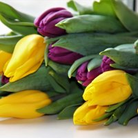 С ВЕСЕННИМ ПРАЗДНИКОМ 8 МАРТА! :: Валентина 