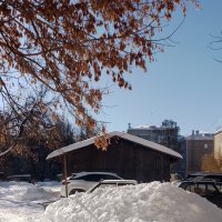 *** :: Валентина Береснева