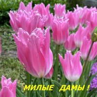 ПОЗДРАВЛЯЮ !!! :: Алекс Б-в