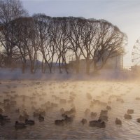 Хорошая прогулка :: Анастасия Северюхина