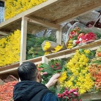 Цветов хватит всем! :: ИРЭН@ .