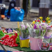 Всех фотоГрафинь с Праздником Весны! :: Вячеслав Назаренко